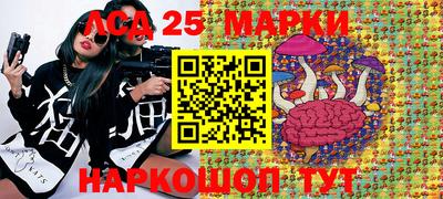 стаф Малгобек