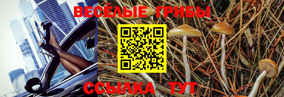 Псилоцибиновые грибы Psilocybe Добрянка